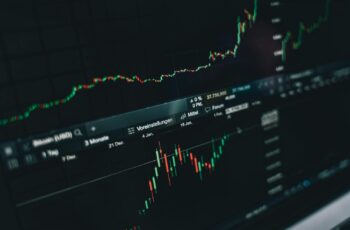 Beyond The Bull And Bear: The Real Value Of A Financial Planner In Any Market